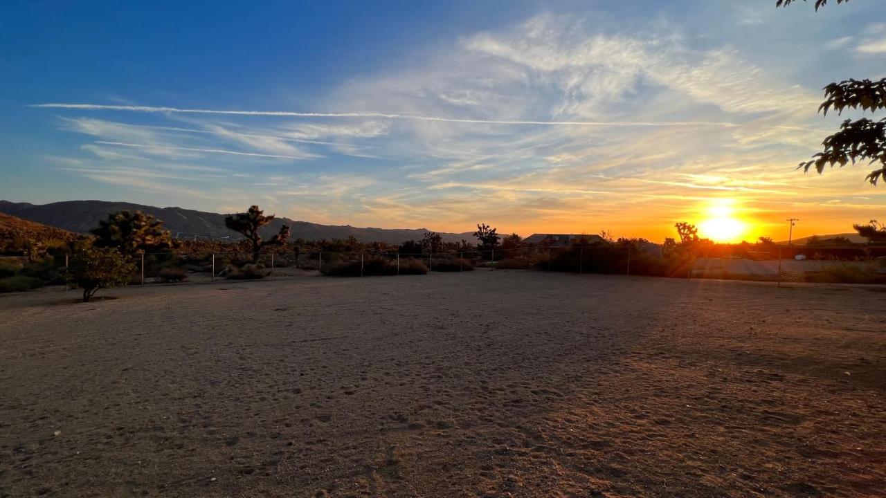 Peaceful Home With Nature Views & Trail Access Yucca Valley Exteriör bild