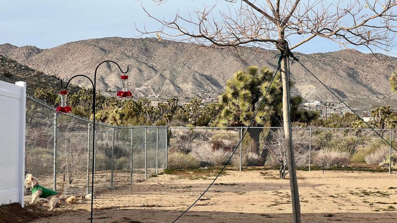 Peaceful Home With Nature Views & Trail Access Yucca Valley Exteriör bild