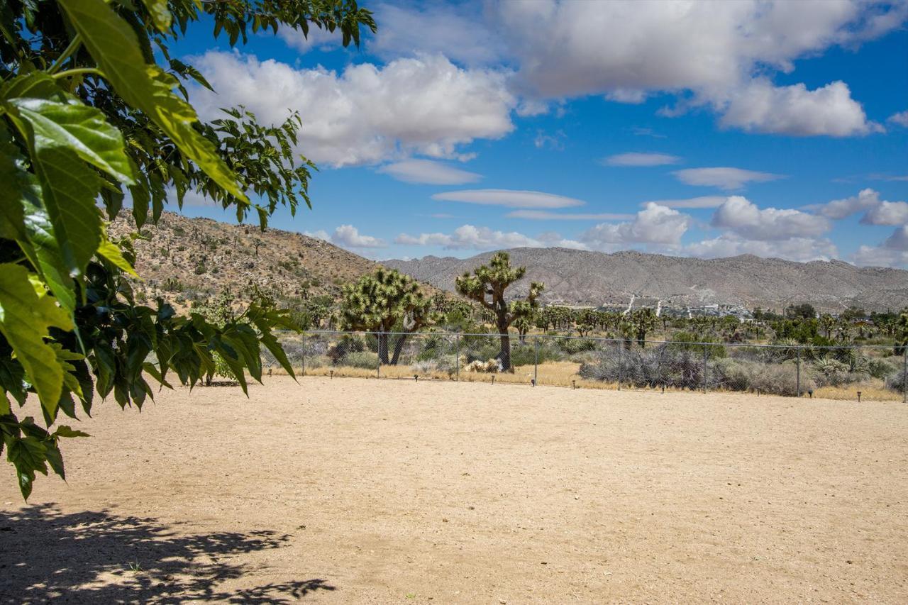 Peaceful Home With Nature Views & Trail Access Yucca Valley Exteriör bild